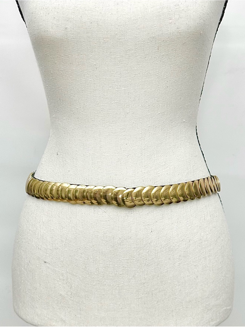 💥💲🔻 Gold Metal disc cinch belt